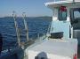 Tuncurry-PhilRoach 031